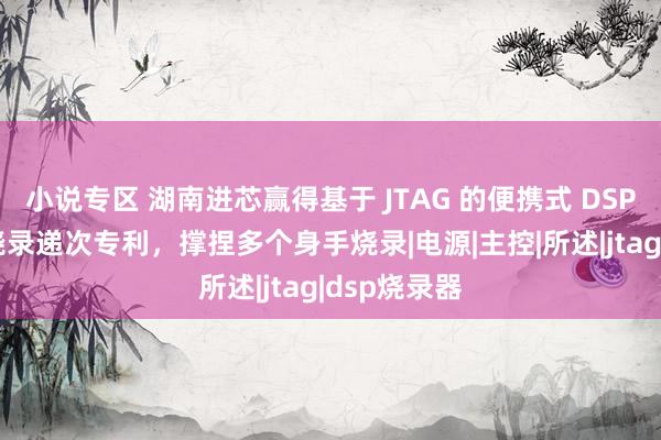 小说专区 湖南进芯赢得基于 JTAG 的便携式 DSP 烧录器及烧录递次专利，撑捏多个身手烧录|电源|主控|所述|jtag|dsp烧录器