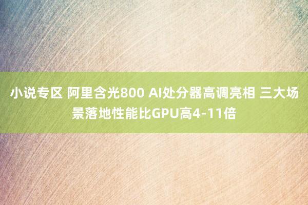 小说专区 阿里含光800 AI处分器高调亮相 三大场景落地性能比GPU高4-11倍