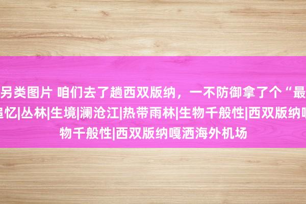 另类图片 咱们去了趟西双版纳，一不防御拿了个“最好展览奖”追忆|丛林|生境|澜沧江|热带雨林|生物千般性|西双版纳嘎洒海外机场