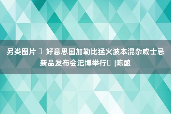 另类图片 ‌好意思国加勒比猛火波本混杂威士忌新品发布会汜博举行‌|陈酿