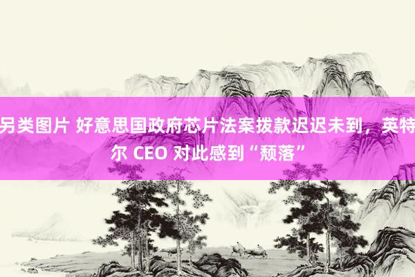 另类图片 好意思国政府芯片法案拨款迟迟未到，英特尔 CEO 对此感到“颓落”