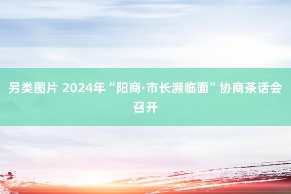 另类图片 2024年“阳商·市长濒临面”协商茶话会召开