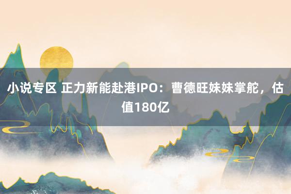 小说专区 正力新能赴港IPO：曹德旺妹妹掌舵，估值180亿