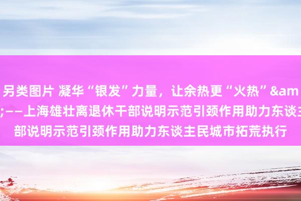 另类图片 凝华“银发”力量，让余热更“火热”&lt;br&gt;——上海雄壮离退休干部说明示范引颈作用助力东谈主民城市拓荒执行