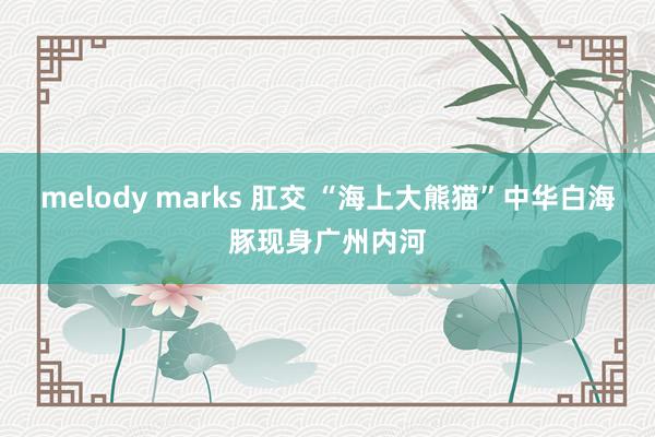 melody marks 肛交 “海上大熊猫”中华白海豚现身广州内河