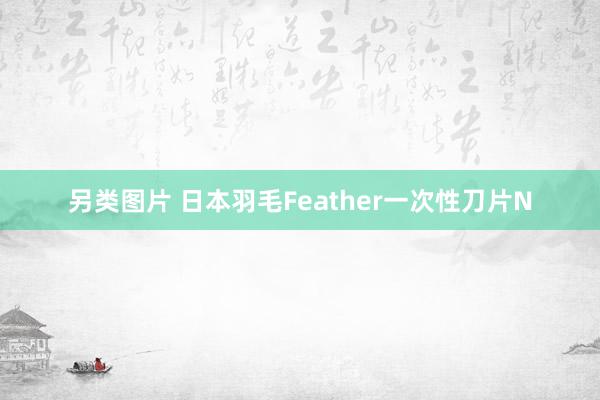 另类图片 日本羽毛Feather一次性刀片N