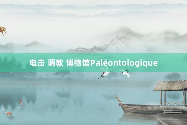 电击 调教 博物馆Paléontologique