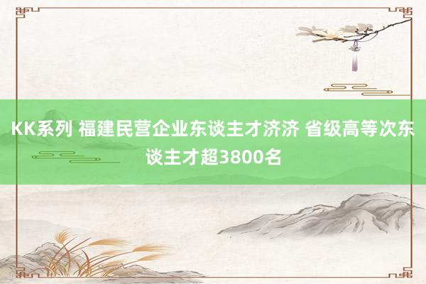 KK系列 福建民营企业东谈主才济济 省级高等次东谈主才超3800名