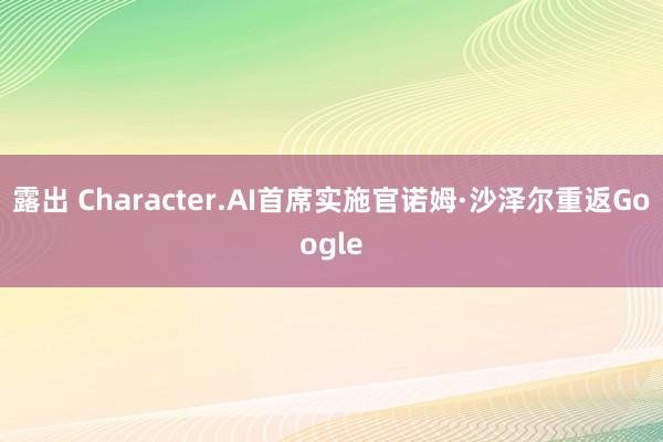 露出 Character.AI首席实施官诺姆·沙泽尔重返Google