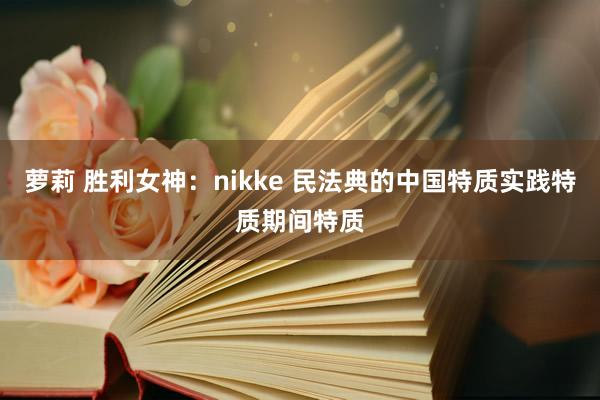 萝莉 胜利女神：nikke 民法典的中国特质实践特质期间特质