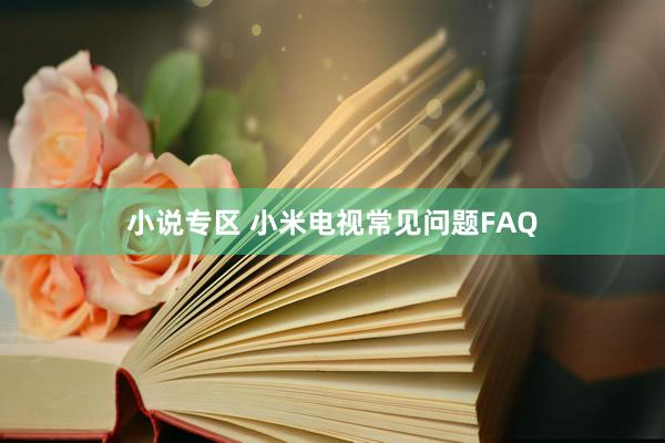 小说专区 小米电视常见问题FAQ