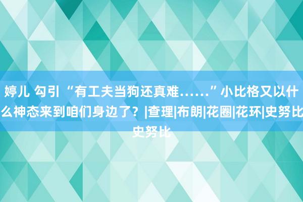 婷儿 勾引 “有工夫当狗还真难……”小比格又以什么神态来到咱们身边了？|查理|布朗|花圈|花环|史努比